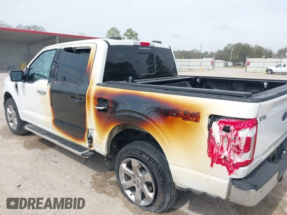 2023 Ford F-150 XL with VIN 1FTFW1E8XPFA36850, listed as a IAAI auction lot 41679919 with 23,909 mi miles. Bid and sale history available at carsss.com. Image 6.