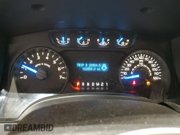 2013 Ford F-150 XL with VIN 1FTFX1EFXDFD26755, listed as a Copart auction lot 49045485 with 122,854 mi miles and Clean Title. Bid and sale history available at DreamBid. Image 9.