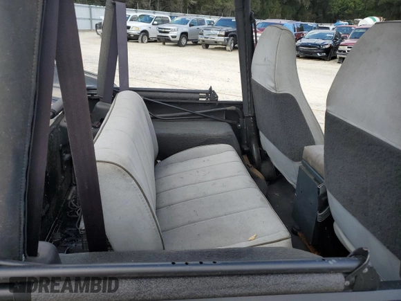 1995 Jeep Wrangler with VIN 1J4FY29SXSP230216, listed as a Copart auction lot 77257834 with 144,217 mi miles and Salvage Title. Bid and sale history available at carsss.com. Image 10.
