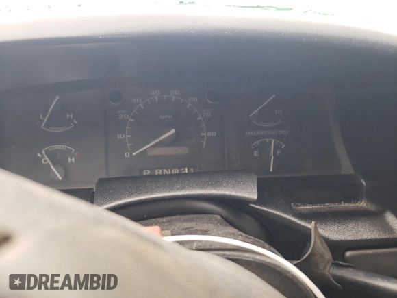 1994 Ford F-150 with VIN 2FTEF15N4RCA56009, listed as a Copart auction lot 45387595 with 0 mi miles and Salvage Title. Bid and sale history available at carsss.com. Image 9.
