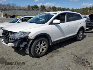 2013 Mazda CX-9 Touring with VIN JM3TB3CV1D0422100, listed as a Copart auction lot 50396875 with 111,266 mi miles and Salvage Title. Bid and sale history available at carsss.com. Image 1.