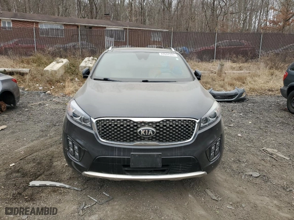 2017 Kia Sorento SX V6 with VIN 5XYPKDA56HG282936, listed as a Copart auction lot 44044305 with 110,569 mi miles and Salvage Title. Bid and sale history available at carsss.com. Image 5.