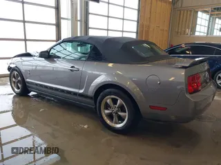 2006 Ford Mustang Standard with VIN 1ZVFT84N965229999, listed as a IAAI auction lot 41596134 with 60,473 mi miles and . Bid and sale history available at carsss.com. Image 3.