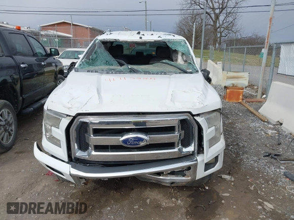2015 Ford F-150 XL with VIN 1FTEW1CF9FFA40738, listed as a IAAI auction lot 41715885 with 296,111 mi miles. Bid and sale history available at carsss.com. Image 12.