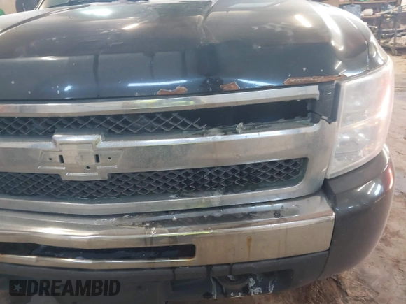 2010 Chevrolet Silverado 1500 LS with VIN 1GCSKREAXAZ161901, listed as a IAAI auction lot 41502944 with 289,439 mi miles and . Bid and sale history available at DreamBid. Image 6.