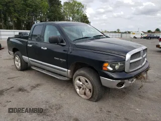 2002 Dodge 1500 z VIN 1D7HU18Z32J255342, wystawiony jako Copart lot #51678385 z przebiegiem 195 161 mil mil oraz Szkoda całkowita • Salvage title. Historia ofert i sprzedaży dostępna na DreamBid. Obrazek 4.