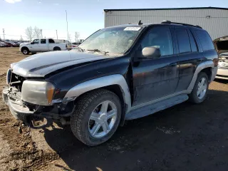 2008 Chevrolet TrailBlazer LT with VIN 1GNET13M582241531, listed as a Copart auction lot 48310125 with 367,236 mi miles and Salvage Title. Bid and sale history available at carsss.com. Image 1.