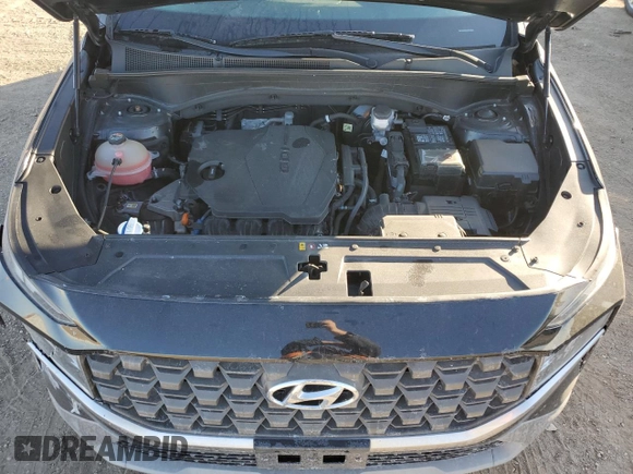 2021 Hyundai Santa Fe SE with VIN 5NMS1DAJXMH329833, listed as a Copart auction lot 42905865 with 116,308 mi miles and Salvage Title. Bid and sale history available at carsss.com. Image 12.
