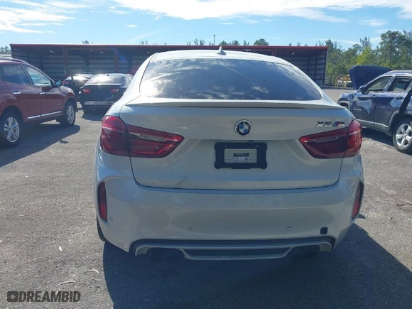 2019 BMW X6 M with VIN 5YMKW8C50K0Y75148, listed as a IAAI auction lot 41244301 with NaN miles. Bid and sale history available at carsss.com. Image 16.