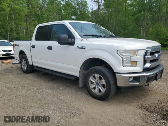 2015 Ford F-150 XLT with VIN 1FTEW1E85FFB51933, listed as a Copart auction lot 59901355 with 436,271 mi miles and Clean title. Bid and sale history available at DreamBid. Image 4.