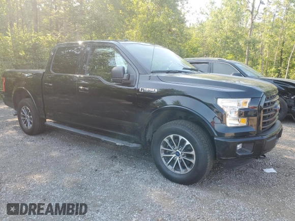 2016 Ford F-150 XLT with VIN 1FTEW1EP4GFD27637, listed as a Copart auction lot 63101465 with 251,049 mi miles and Clean title. Bid and sale history available at DreamBid. Image 4.