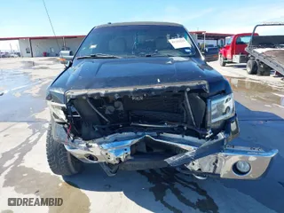 2010 Ford F-150 XL with VIN 1FTEW1E87AFC49449, listed as a IAAI auction lot 41312515 with 226,355 mi miles. Bid and sale history available at carsss.com. Image 12.
