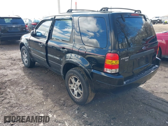 2002 Ford Escape XLT z VIN 1FMCU03182KD33491, wystawiony jako IAAI lot #41704430 z przebiegiem 174 810 mil mil oraz . Historia ofert i sprzedaży dostępna na DreamBid. Obrazek 3.