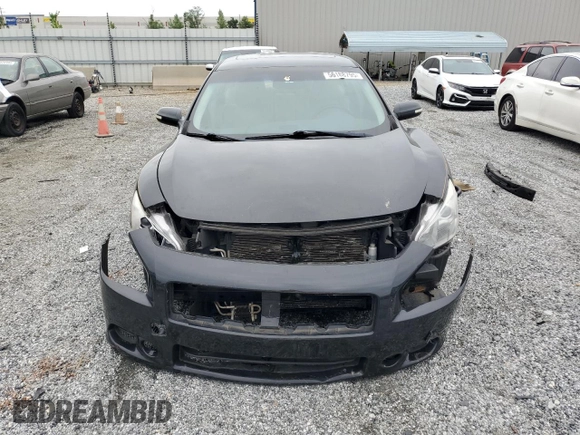2010 Nissan Maxima SV with VIN 1N4AA5AP1AC863518, listed as a Copart auction lot 56188795 with 115,377 mi miles and Salvage title. Bid and sale history available at DreamBid. Image 5.