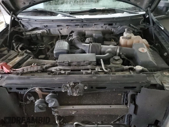 2010 Ford F-150 XL with VIN 1FTFW1EV8AFD31300, listed as a Copart auction lot 45961935 with Not Provided miles and Salvage Title. Bid and sale history available at DreamBid. Image 11.