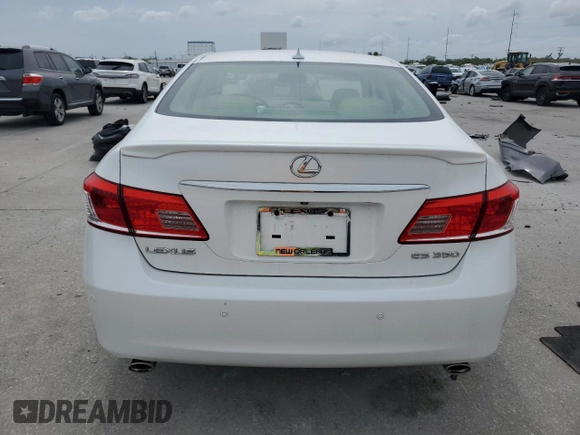 2010 Lexus ES 330 with VIN JTHBK1EG4A2390362, listed as a Copart auction lot 50737025 with 53,900 mi miles and Salvage Title. Bid and sale history available at DreamBid. Image 6.