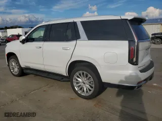 2023 Cadillac Escalade 4WD Premium Luxury with VIN 1GYS4BKL2PR422237, listed as a Copart auction lot 73868994 with 13,493 mi miles and Salvage Title. Bid and sale history available at carsss.com. Image 2.