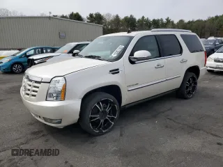 2010 Cadillac Escalade Premium with VIN 1GYUKCEF2AR273457, listed as a Copart auction lot 53513025 with 172,867 mi miles and Salvage title. Bid and sale history available at DreamBid. Image 1.