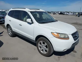 2008 Hyundai Santa Fe SE with VIN 5NMSH13E48H194784, listed as a IAAI auction lot 41824245 with 199,238 mi miles. Bid and sale history available at carsss.com. Image 1.