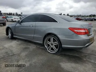 2010 Mercedes-Benz E-Class E 550 with VIN WDDKJ7CB5AF046696, listed as a Copart auction lot 49076015 with 0 mi miles and Salvage Title. Bid and sale history available at carsss.com. Image 2.