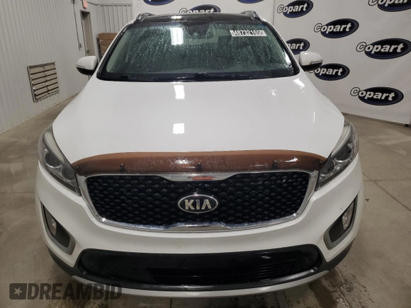 2017 Kia Sorento EX V6 with VIN 5XYPH4A58HG248236, listed as a Copart auction lot 48732165 with 146,353 mi miles and Clean Title. Bid and sale history available at carsss.com. Image 5.