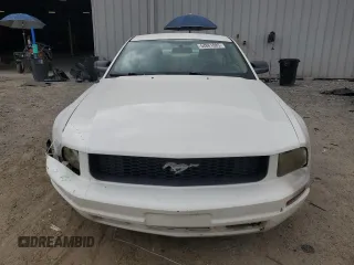 2005 Ford Mustang Deluxe with VIN 1ZVFT80N055206227, listed as a Copart auction lot 54861085 with 235,462 mi miles and Salvage Title. Bid and sale history available at carsss.com. Image 5.