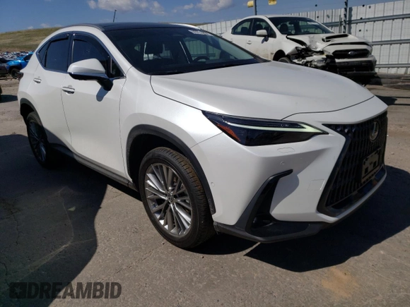 2022 Lexus NX 350h Luxury with VIN JTJHKCEZXN2005513, listed as a Copart auction lot 49705234 with 9,656 mi miles and . Bid and sale history available at DreamBid. Image 4.