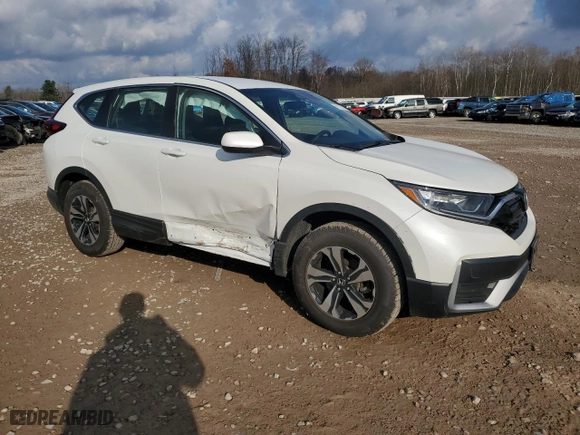 2022 Honda CR-V Special Edition with VIN 2HKRW2H78NH605722, listed as a Copart auction lot 81133194 with 34,027 mi miles and Salvage Title. Bid and sale history available at carsss.com. Image 4.