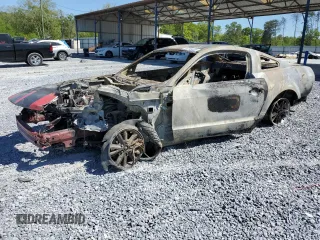 2005 Ford Mustang Deluxe with VIN 1ZVFT80N455159946, listed as a Copart auction lot 54315545 with Not provided miles and Non repairable. Bid and sale history available at DreamBid. Image 1.