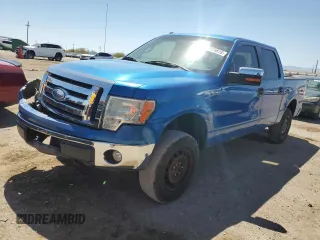 2009 Ford F-150 XL z VIN 1FTPW14V09FA81391, wystawiony jako Copart lot #53976815 z przebiegiem 229 080 mil mil oraz Szkody całkowita. Historia ofert i sprzedaży dostępna na DreamBid. Obrazek 1.