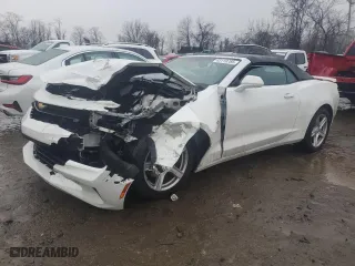 2018 Chevrolet Camaro 1LT with VIN 1G1FB3DXXJ0123361, listed as a Copart auction lot 43119785 with 125,380 mi miles and Salvage Title. Bid and sale history available at carsss.com. Image 1.