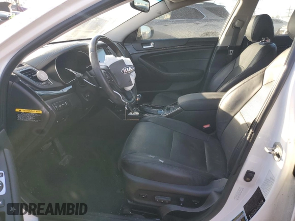 2015 Kia Cadenza Premium with VIN KNALN4D74F5168777, listed as a Copart auction lot 42695565 with Not Provided miles and Salvage Title. Bid and sale history available at carsss.com. Image 7.