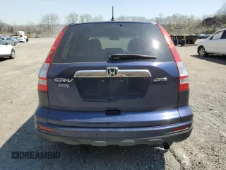 2010 Honda CR-V EX with VIN 5J6RE4H54AL016082, listed as a Copart auction lot 53850455 with 124,247 mi miles and Salvage Title. Bid and sale history available at carsss.com. Image 6.