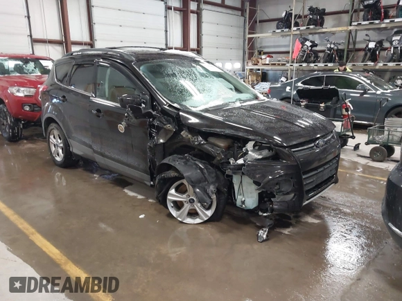 2013 Ford Escape SE with VIN 1FMCU9GX6DUC07446, listed as a IAAI auction lot 41089866 with 119,018 mi miles. Bid and sale history available at carsss.com. Image 1.