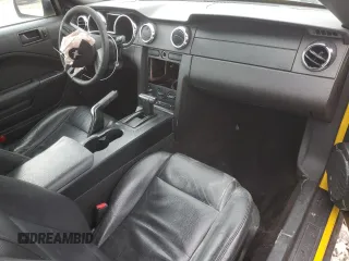2006 Ford Mustang Standard with VIN 1ZVFT80N065127934, listed as a Copart auction lot 51987095 with Not Provided miles and Salvage Title. Bid and sale history available at carsss.com. Image 8.