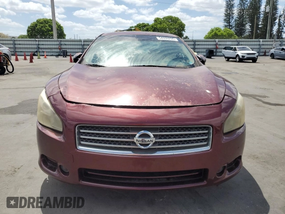 2009 Nissan Maxima SV with VIN 1N4AA51E59C809603, listed as a Copart auction lot 54609295 with 210,603 mi miles and Clean Title. Bid and sale history available at DreamBid. Image 5.