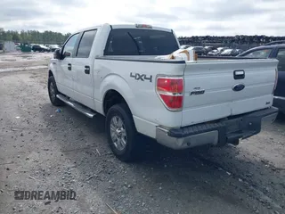 2010 Ford F-150 XL with VIN 1FTFW1EV5AFC03029, listed as a IAAI auction lot 41928629 with 256,111 mi miles. Bid and sale history available at carsss.com. Image 3.