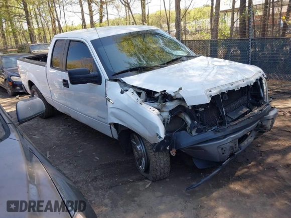 2014 Ford F-150 XL with VIN 1FTFX1CTXEFC01524, listed as a IAAI auction lot 41955270 with 251,992 mi miles. Bid and sale history available at carsss.com. Image 1.