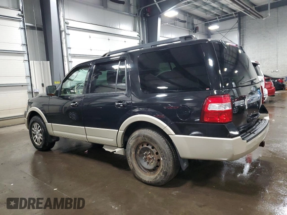 2010 Ford Expedition Eddie Bauer with VIN 1FMJU1J55AEB48542, listed as a Copart auction lot 49162835 with 171,100 mi miles and Salvage title. Bid and sale history available at DreamBid. Image 2.