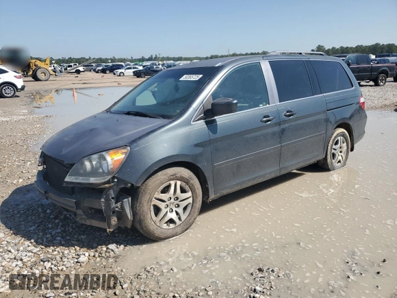 2005 Honda Odyssey EX with VIN 5FNRL38455B020843, listed as a Copart auction lot 50365725 with 235,321 mi miles and Salvage Title. Bid and sale history available at carsss.com. Image 1.
