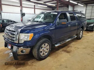 2009 Ford F-150 XL with VIN 1FTPW14V09FB11277, listed as a Copart auction lot 59531415 with 186,572 mi miles and Salvage title. Bid and sale history available at DreamBid. Image 1.