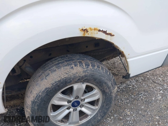 2013 Ford F-150 XL with VIN 1FTFW1EF8DKF20839, listed as a IAAI auction lot 41906614 with 243,411 mi miles and . Bid and sale history available at carsss.com. Image 12.