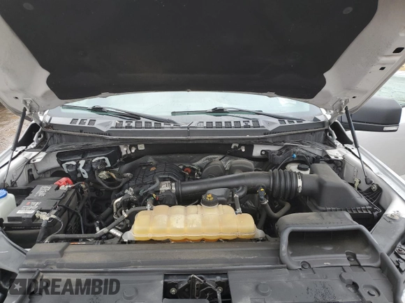 2019 Ford F-150 XL with VIN 1FTEW1EB8KFC61719, listed as a Copart auction lot 47276065 with 160,016 mi miles and Salvage Title. Bid and sale history available at DreamBid. Image 11.