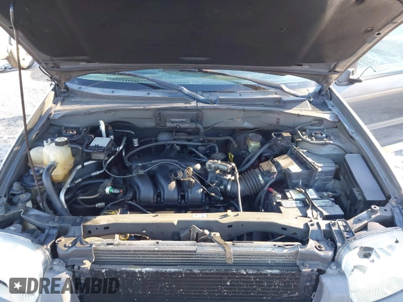 2003 Ford Escape XLS Popular with VIN 1FMYU02103KE02490, listed as a IAAI auction lot 41326202 with 190,280 mi miles and . Bid and sale history available at DreamBid. Image 10.