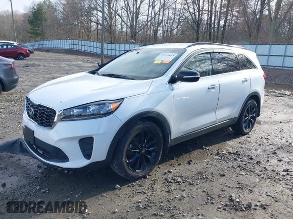 2019 Kia Sorento LX with VIN 5XYPG4A54KG599963, listed as a IAAI auction lot 41558055 with 119,238 mi miles and . Bid and sale history available at DreamBid. Image 17.