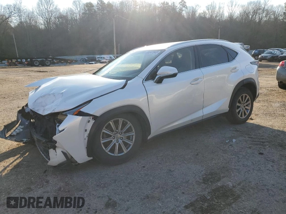 2017 Lexus NX with VIN JTJYARBZ0H2060406, listed as a Copart auction lot 88047045 with 123,643 mi miles and Salvage Title. Bid and sale history available at carsss.com. Image 1.