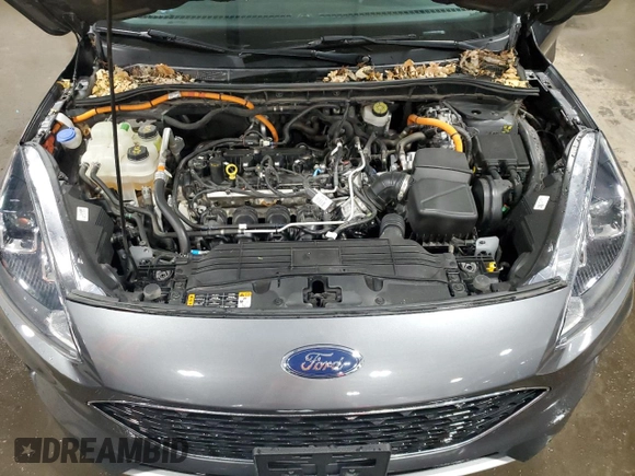 2021 Ford Escape SEL Hybrid with VIN 1FMCU9CZ5MUA11764, listed as a Copart auction lot 43969335 with 46,449 mi miles and Salvage title. Bid and sale history available at DreamBid. Image 13.