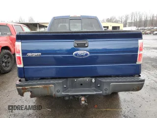 2009 Ford F-150 XL with VIN 1FTPX14V29KB98328, listed as a Copart auction lot 49290255 with 167,707 mi miles and Clean Title. Bid and sale history available at carsss.com. Image 6.