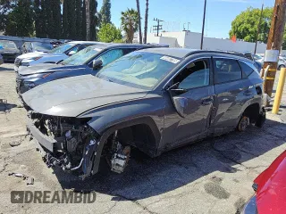 2024 Hyundai Tucson SEL with VIN 5NMJB3DE2RH342066, listed as a Copart auction lot 46492795 with 0 mi miles and Clean Title. Bid and sale history available at carsss.com. Image 1.