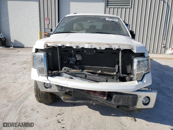 2011 Ford F-150 XL with VIN 1FTFX1EF4BFD42513, listed as a Copart auction lot 49134915 with 138,376 mi miles and Salvage Title. Bid and sale history available at carsss.com. Image 5.